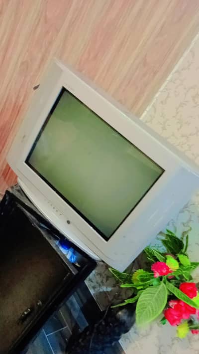 television