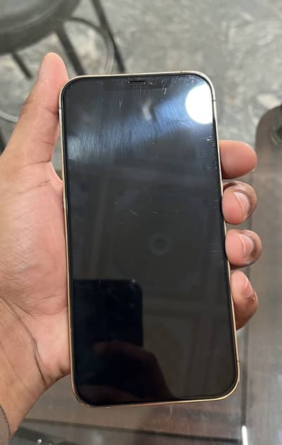 Apple iPhone 12 Pro Max