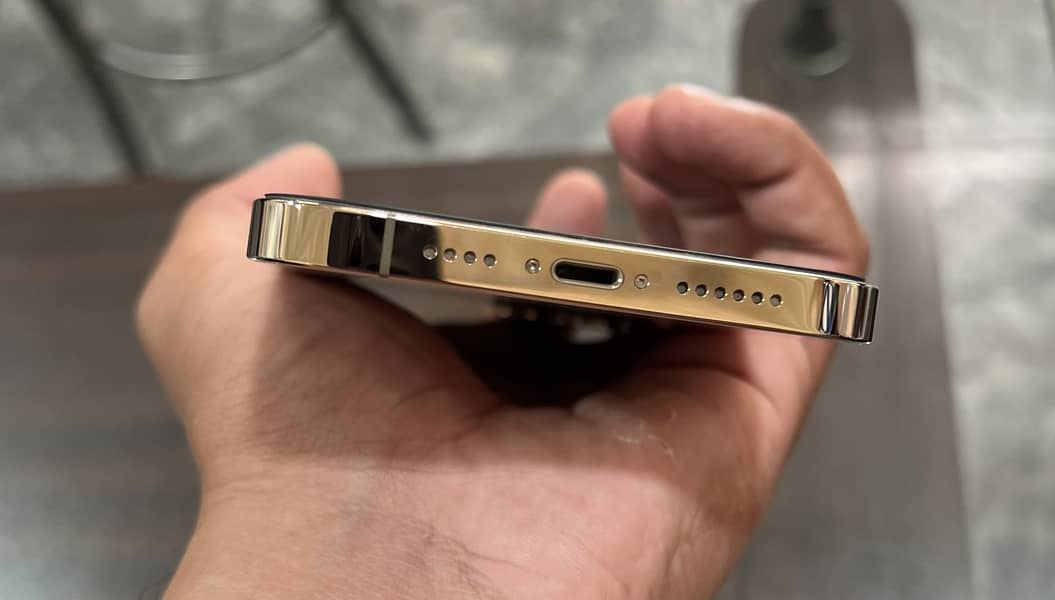 Apple iPhone 12 Pro Max 1