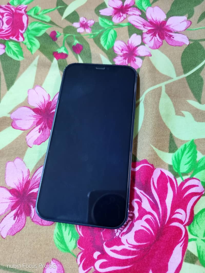 Apple iPhone 12 3
