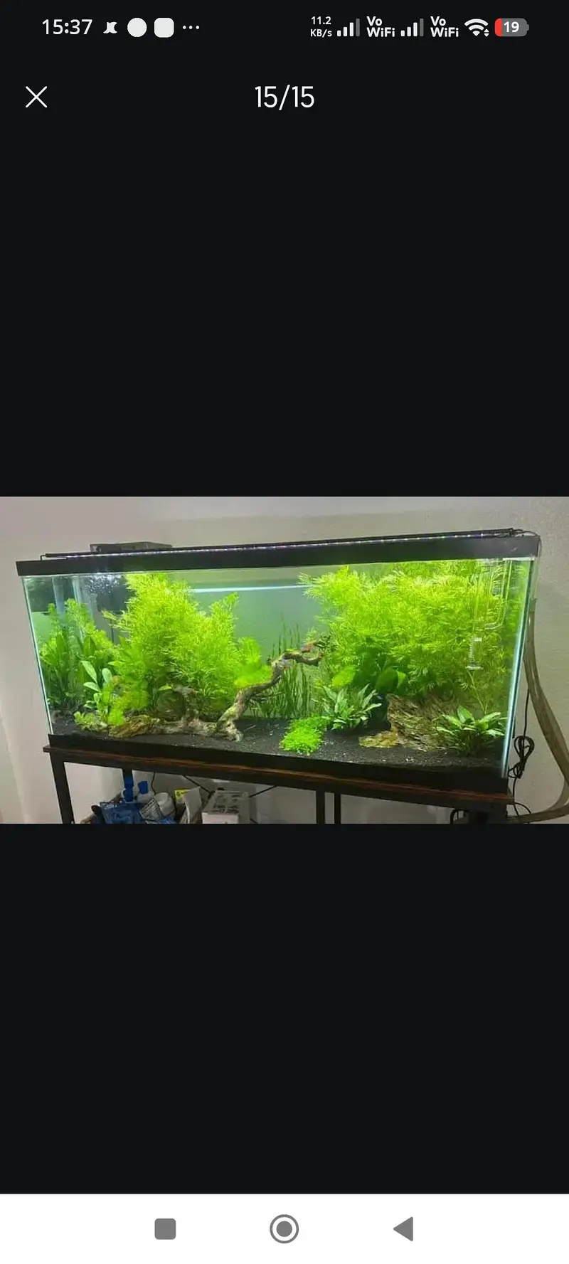 Aquarium Sand . River Sand . Aquarium plants — photo 3