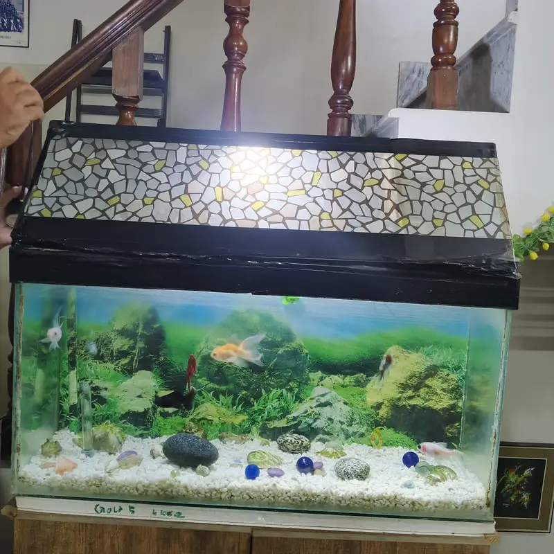 fish aquarium with 4 fishes motor