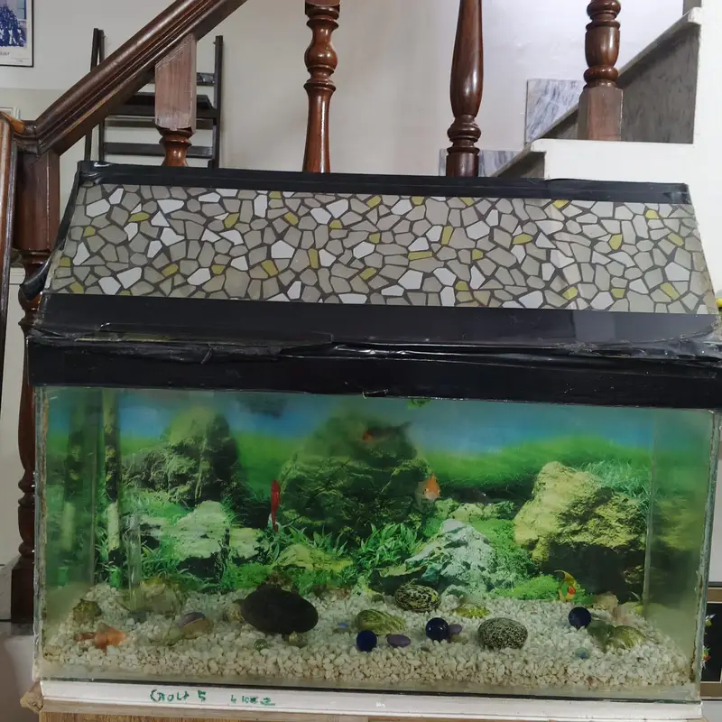 fish aquarium with 4 fishes motor — photo 2