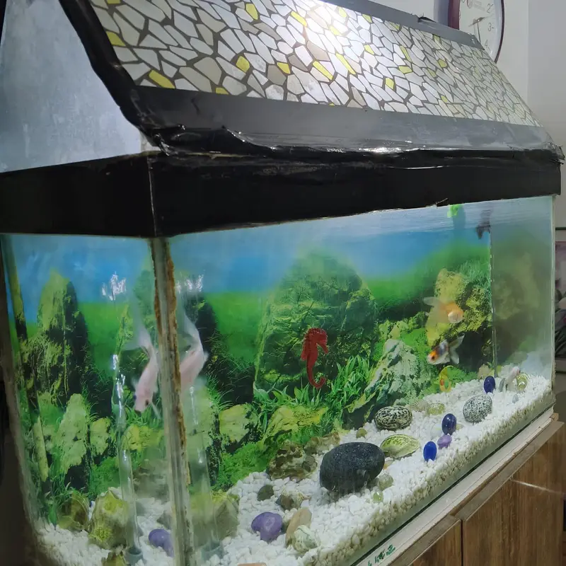fish aquarium with 4 fishes motor — photo 5