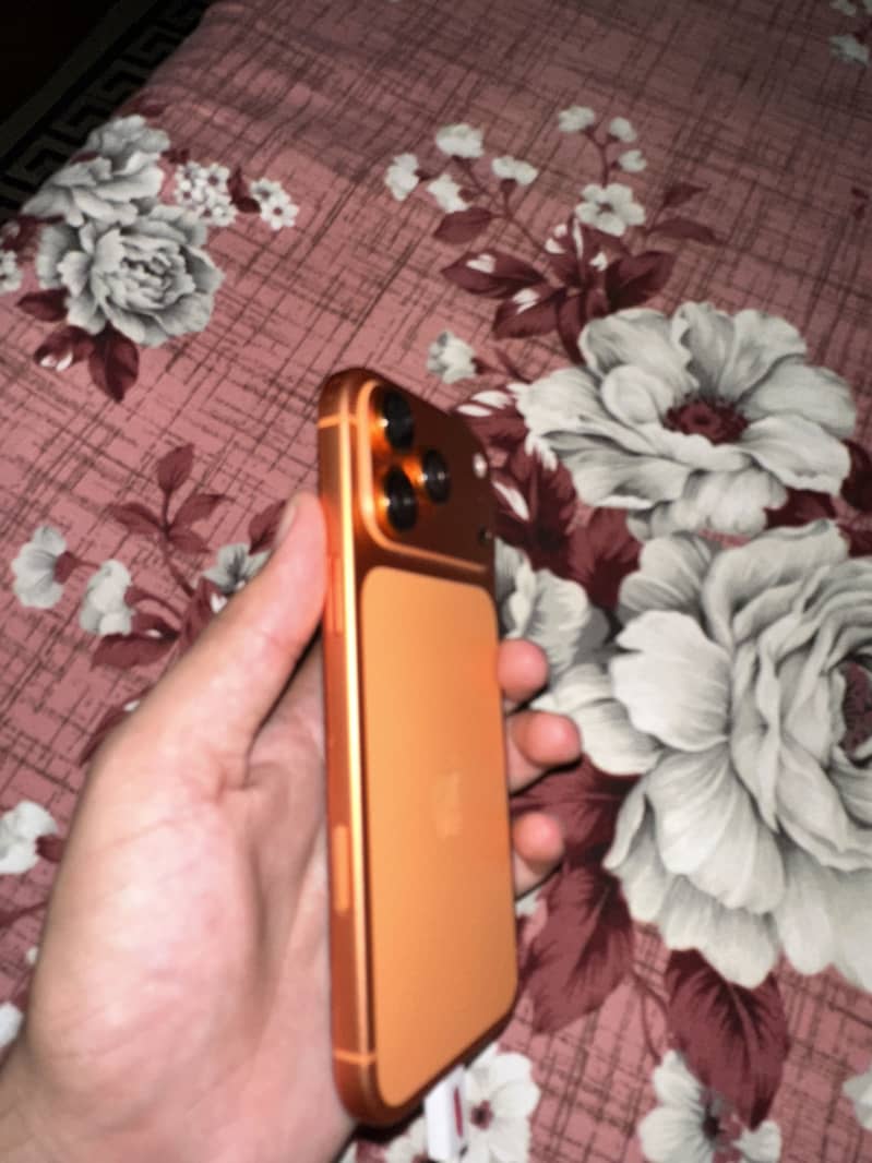 Apple iPhone 17 Pro Max 1