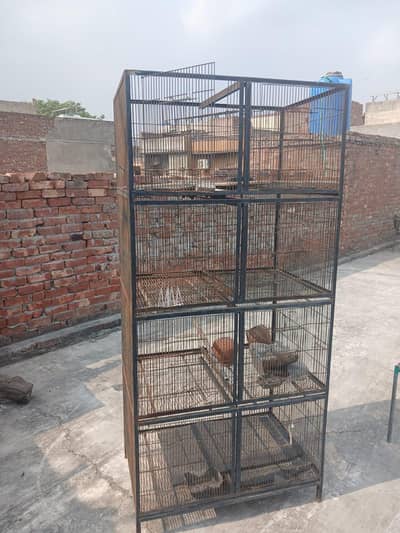 pair of two cages