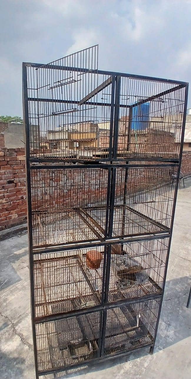 cages 1