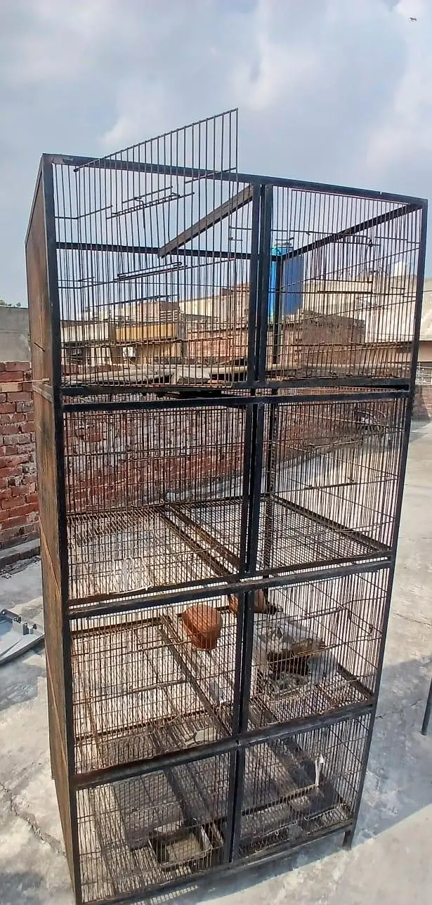 pair of two cages — photo 3