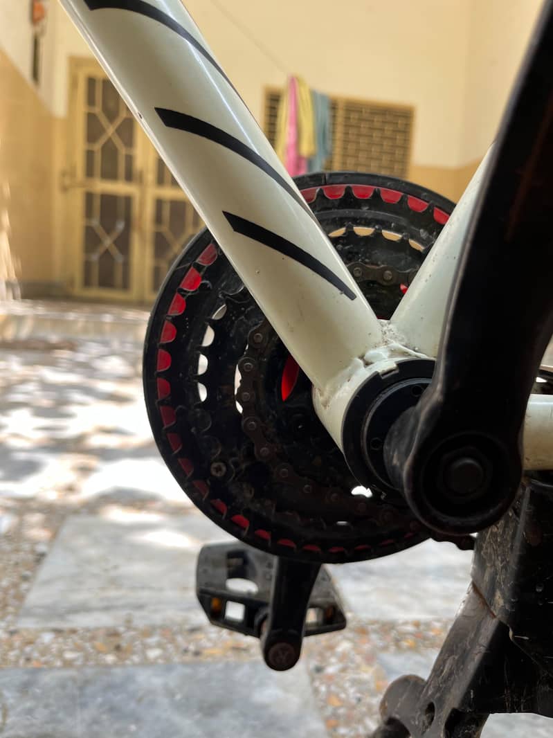 phonex cycle 5