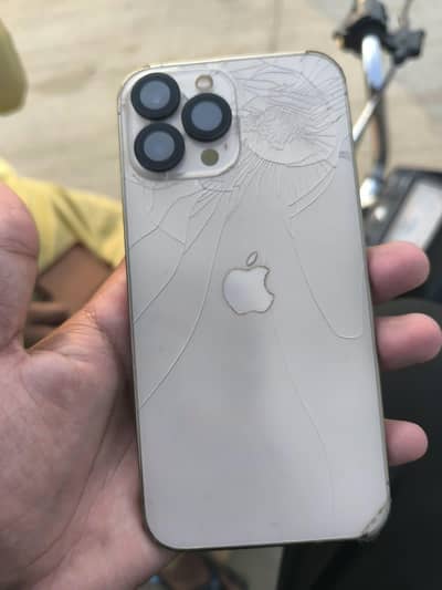 Apple iPhone 13 Pro Max