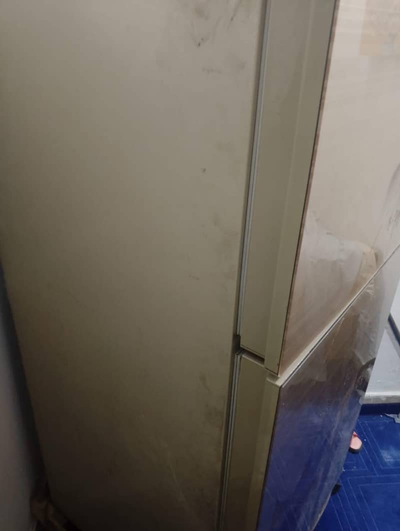 New fridge 3