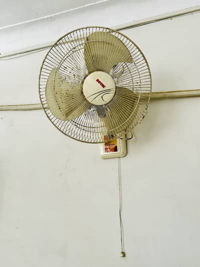 Royal fan