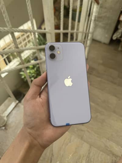 Apple iPhone 11