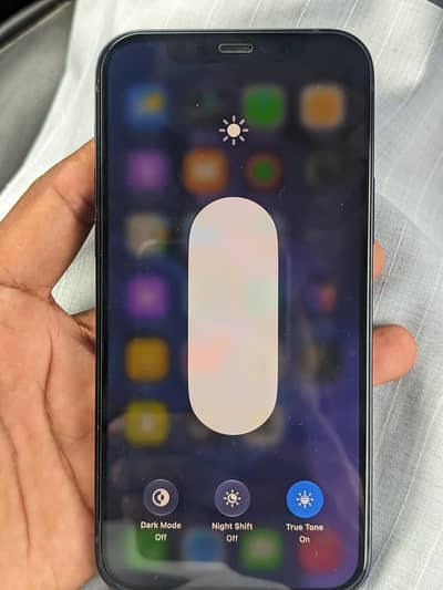 Apple iPhone 12