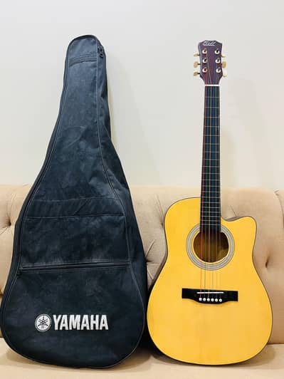 brand new acoustic guitar medium size with bag