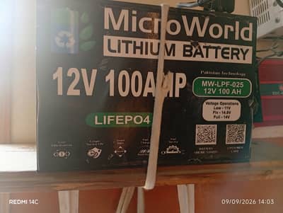 Leatheam battery