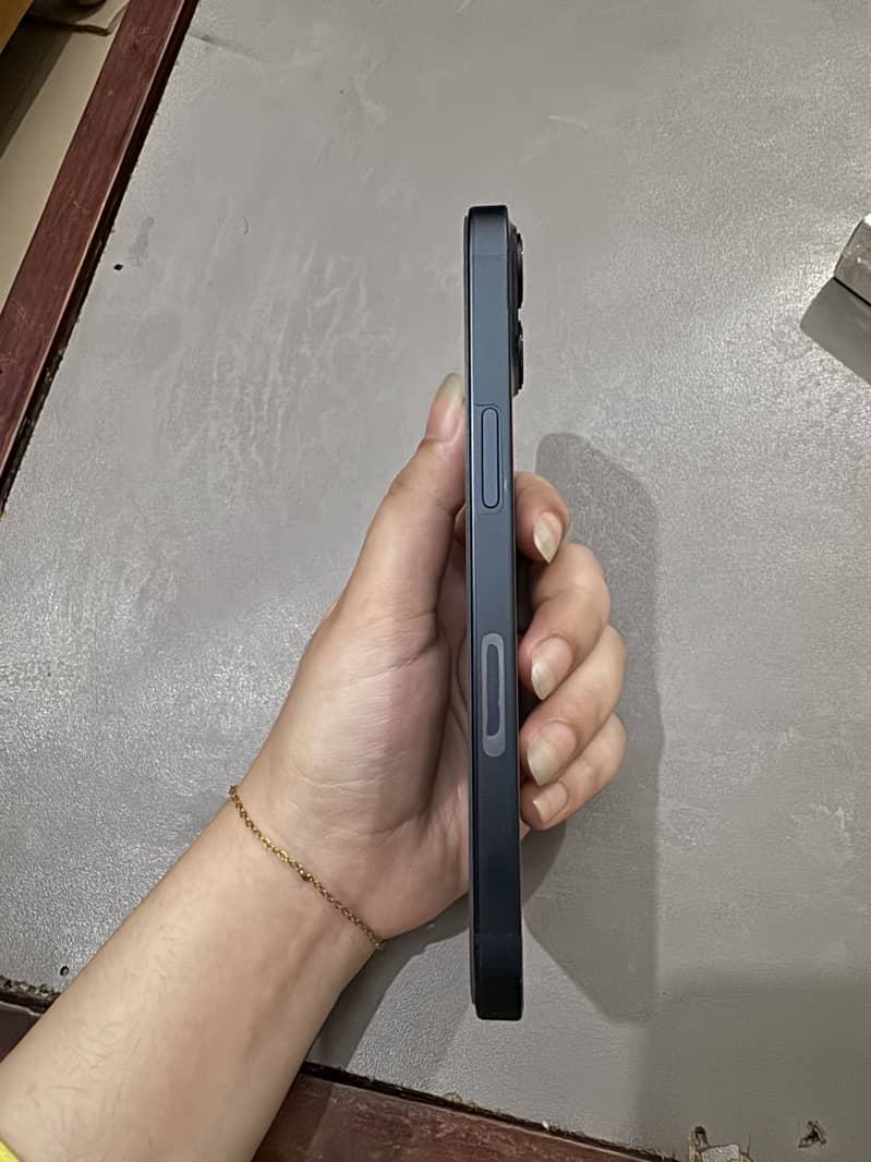 Apple iPhone 13 0