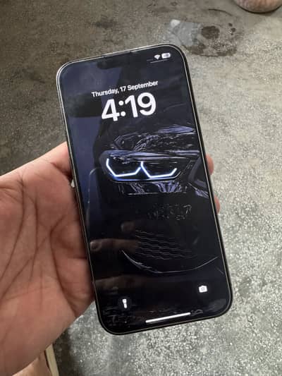 iPhone 13 Pro Max condition 10/9.5