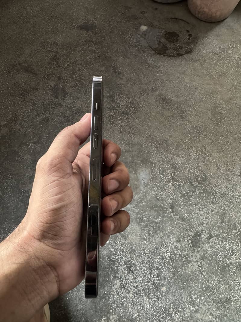 iPhone 13 Pro Max condition 10/9.5 3