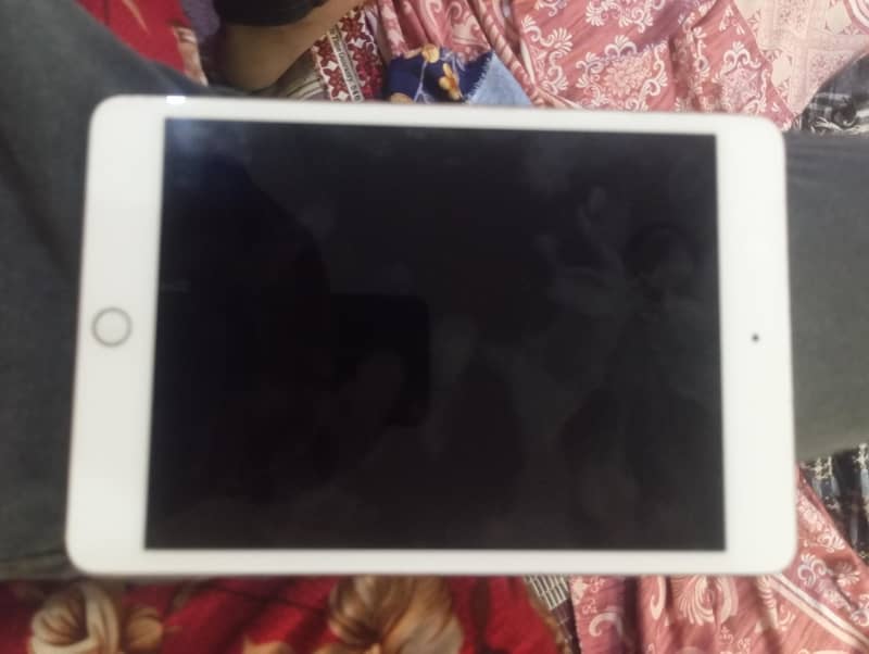 ipad mini 3 1