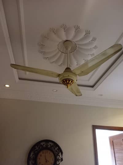 Ceiling fan