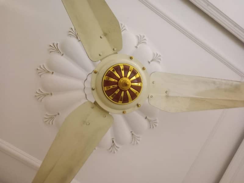 Ceiling fan 3