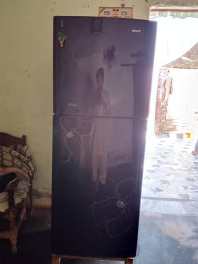 orient freezer