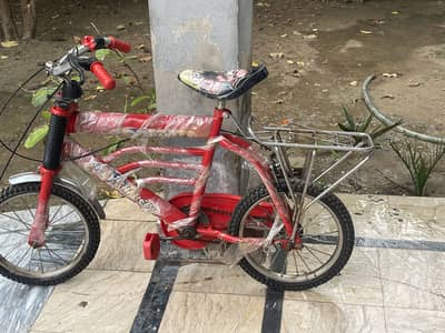 Kids cycle new constitution