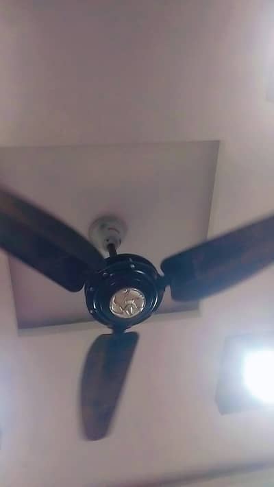 Parwaz Fan Copper