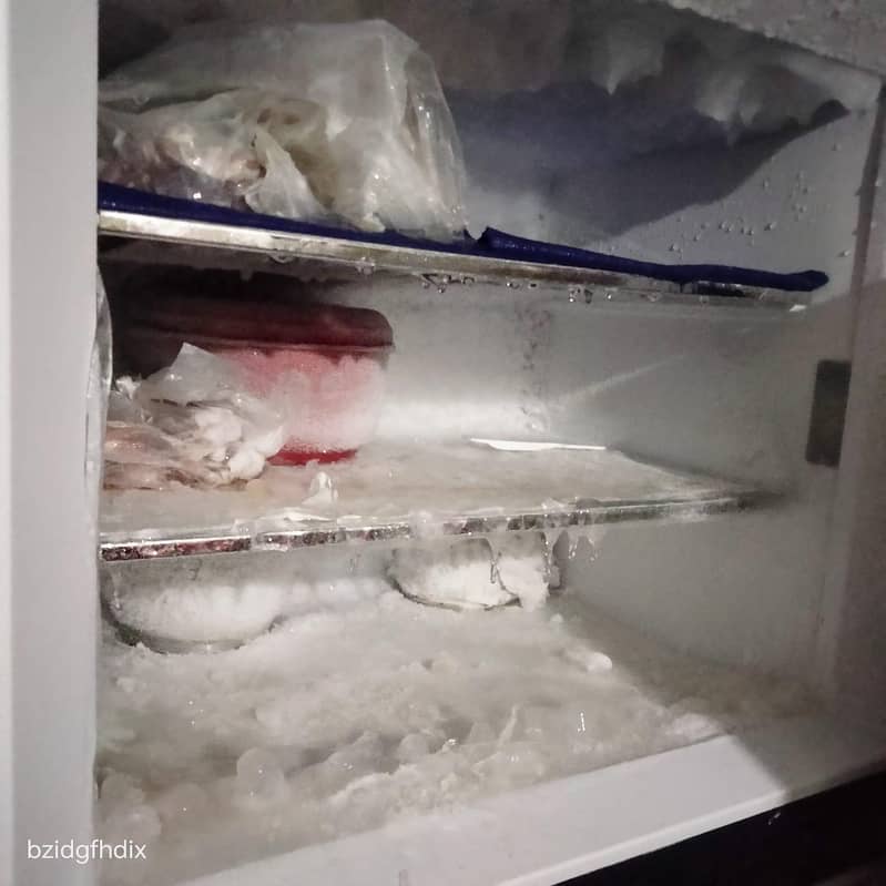Freezer 2