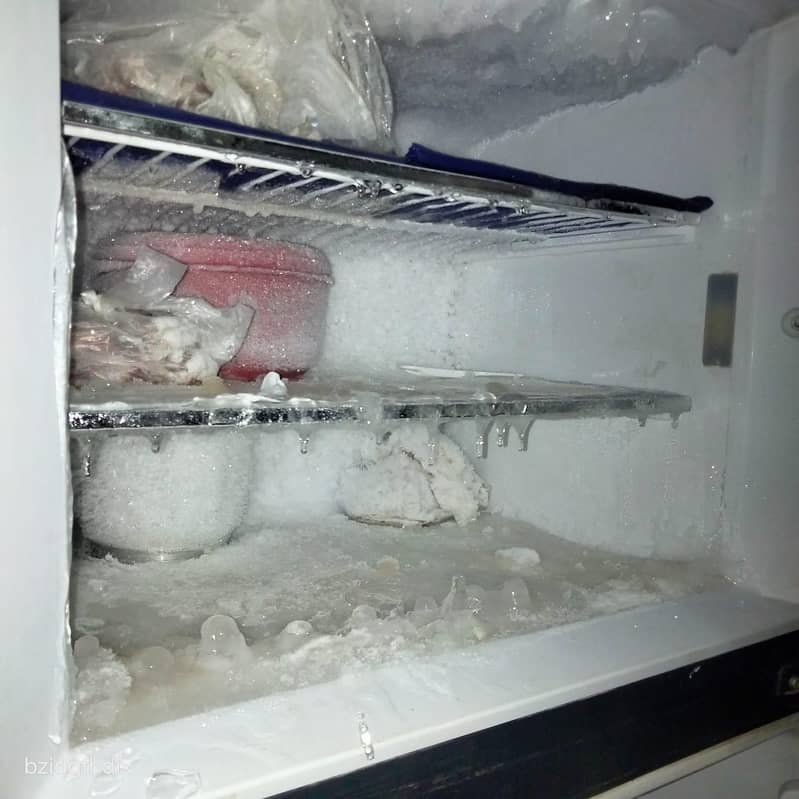 Freezer 3