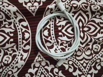 original type c to c cable apple