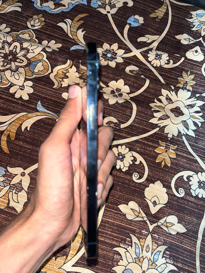 Apple iPhone 12 Pro Max 1