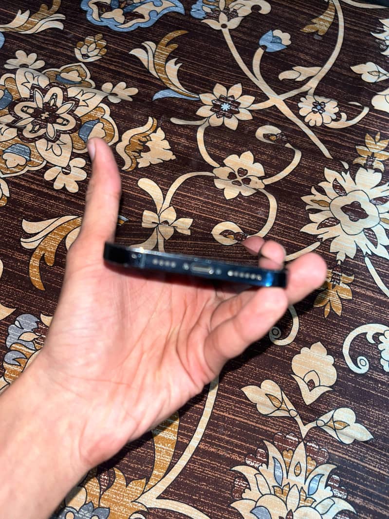 Apple iPhone 12 Pro Max 3