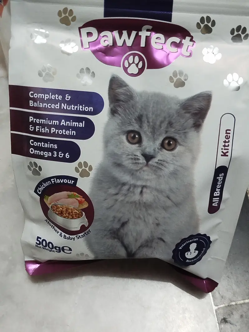 cat selling bcz going to umra — photo 5