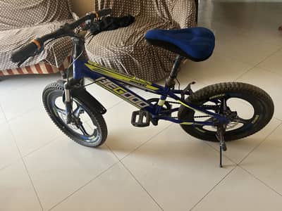 Bicycle for sale