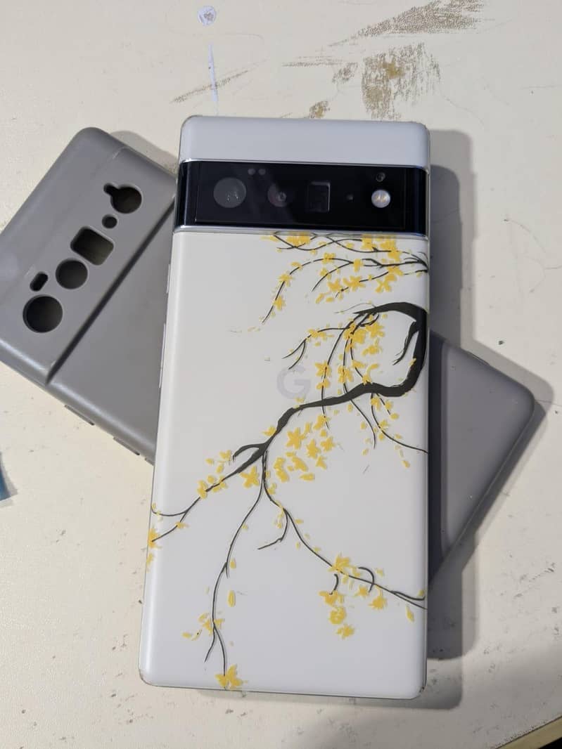 Google Pixel 6 Pro 0