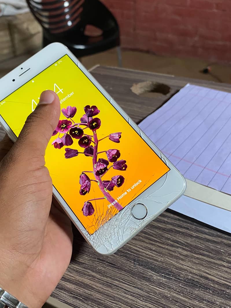 Apple iPhone 6 Plus 5