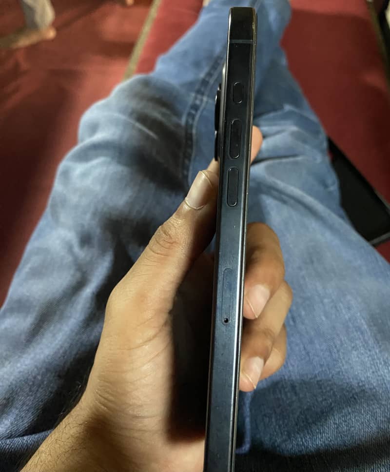 Apple iPhone 13 Pro Max 2