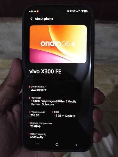 Vivo X300 FE