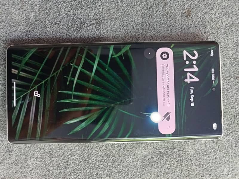Google Pixel 6 Pro 1