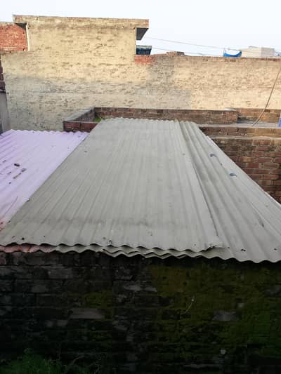 shed sheets. MS