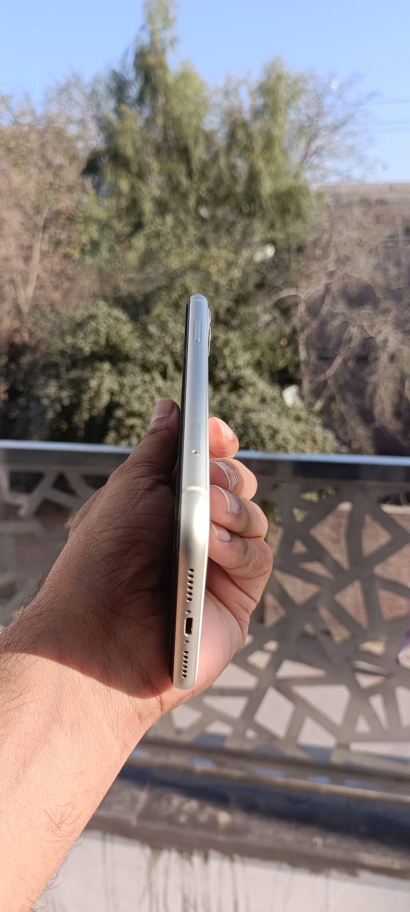Apple iPhone 11 2