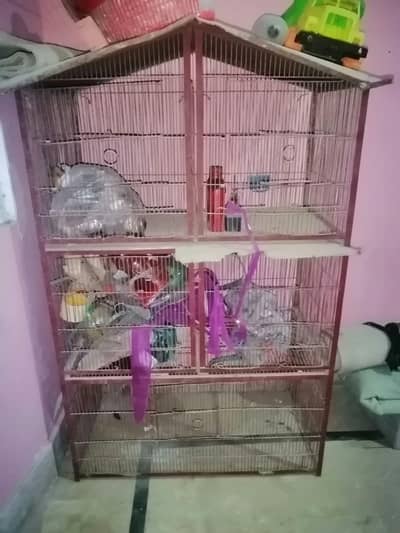 Cage big size