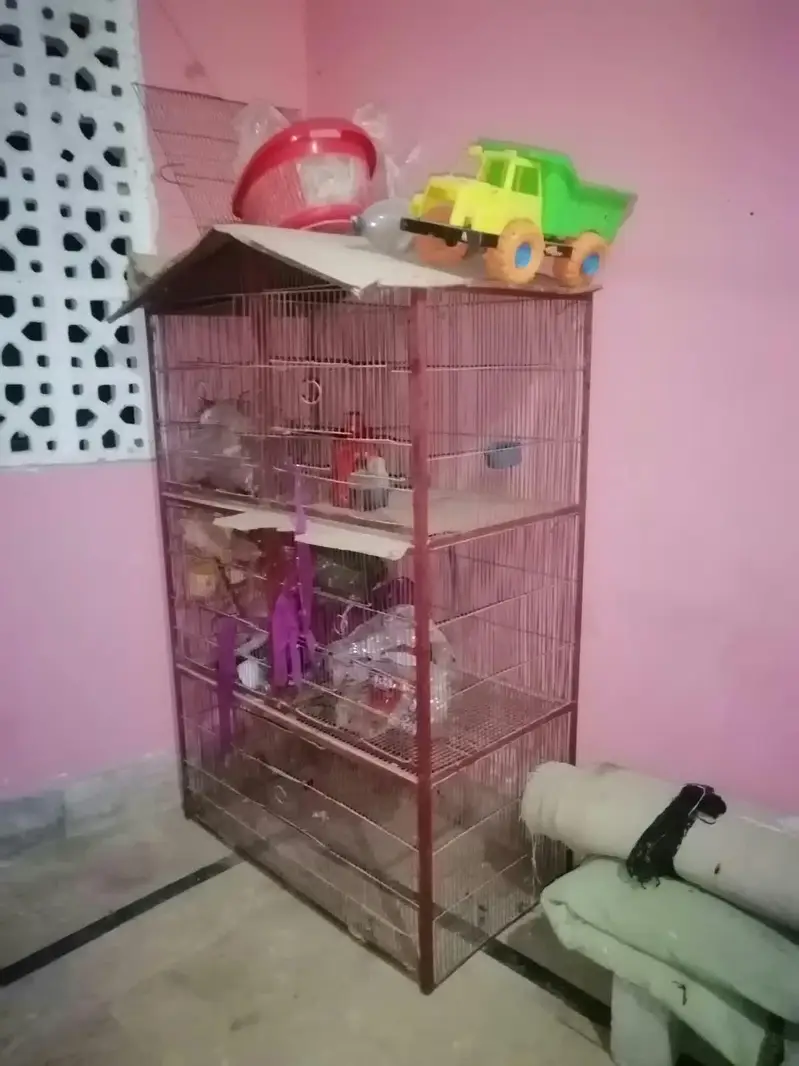 Cage big size — photo 3