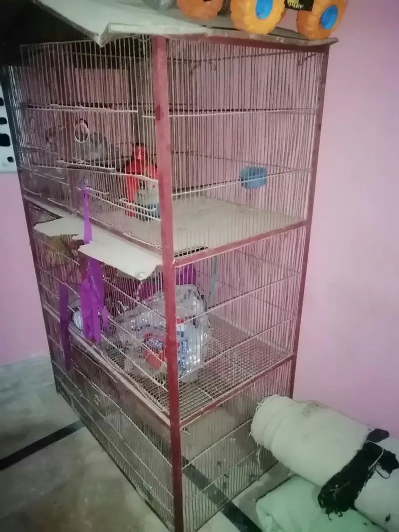 Cage big size — photo 4
