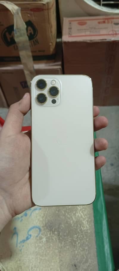 Apple iPhone 12 Pro Max