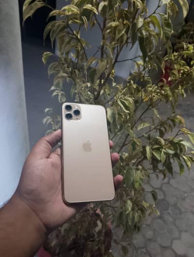 Apple iPhone 11 Pro Max price almost final