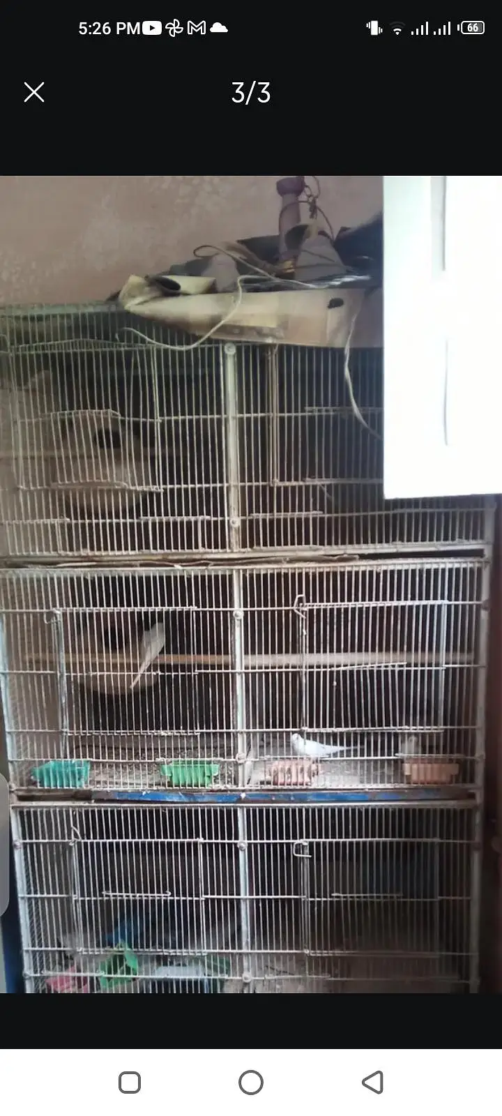 8 portion cage and single cage — photo 2