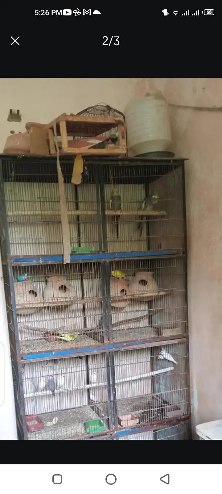 8 portion cage and single cage — photo 3